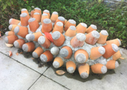 740508.thumb